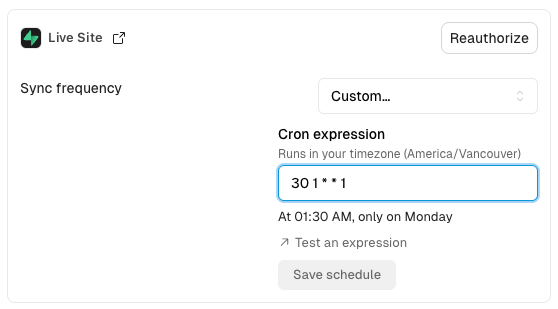 A custom cron expression with a plain-English summary of when it runs